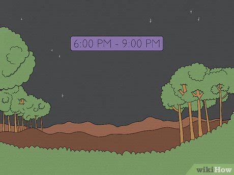 9pm is evening or night|Evening vs. Night: Here's How They're Different .